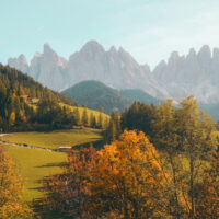 Intellectus: Empowering Students Through Knowledge, Skills, and Opportunity