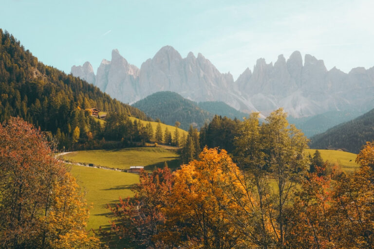 Intellectus: Empowering Students Through Knowledge, Skills, and Opportunity